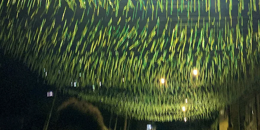 比分落后之后的二十分钟:一支球队的三种反应·档案室胶片